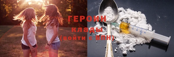 индика Гусев