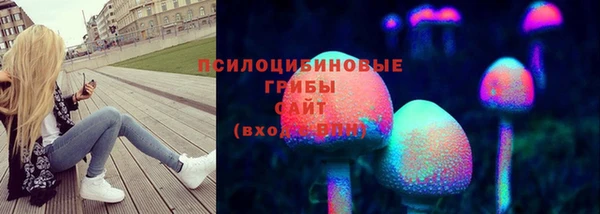 кристаллы Гусь-Хрустальный