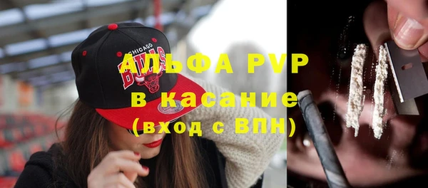 индика Гусев