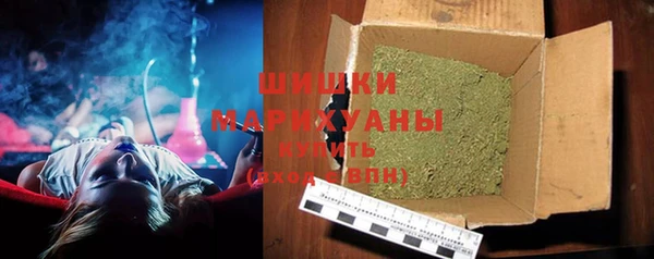 молекула духа Гусиноозёрск
