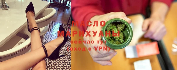 индика Гусев