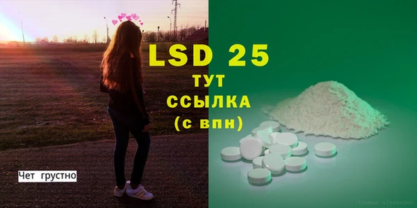 индика Гусев
