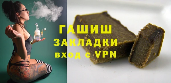 индика Гусев