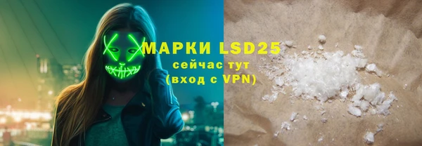 индика Гусев