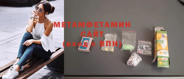 индика Гусев