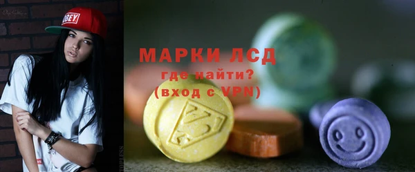 индика Гусев