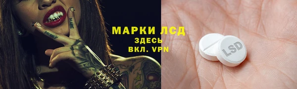 индика Гусев