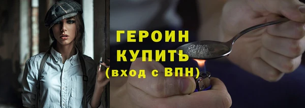 индика Гусев