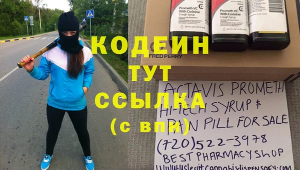 молекула духа Гусиноозёрск