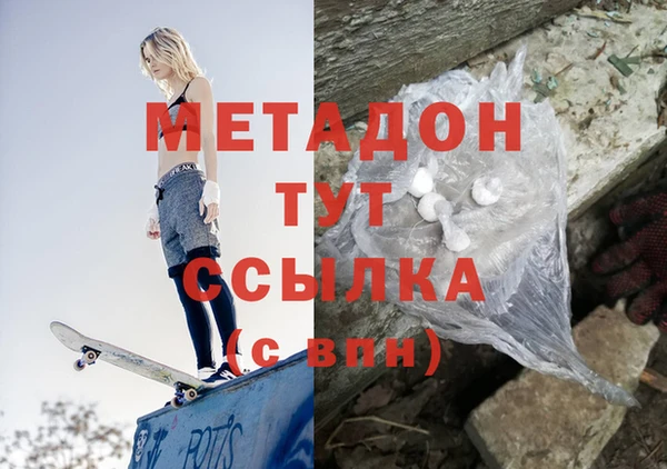 индика Гусев