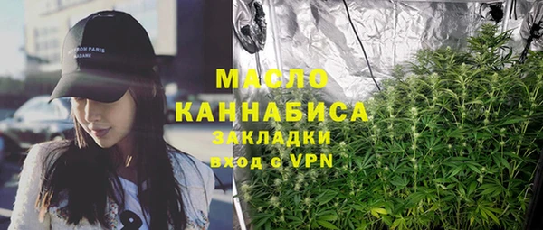 молекула духа Гусиноозёрск