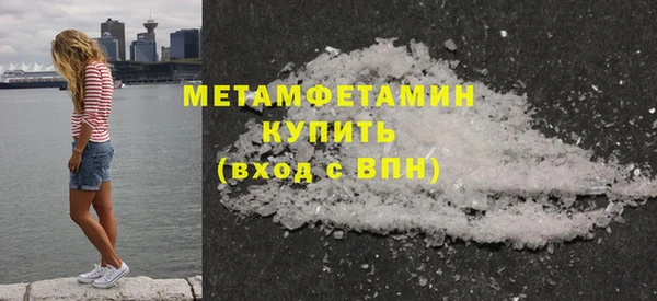 индика Гусев