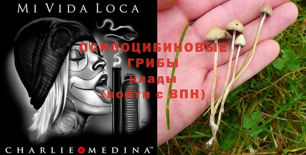 индика Гусев