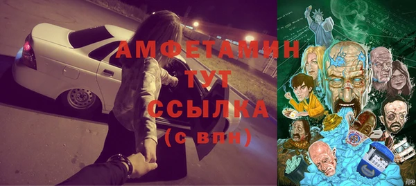 индика Гусев