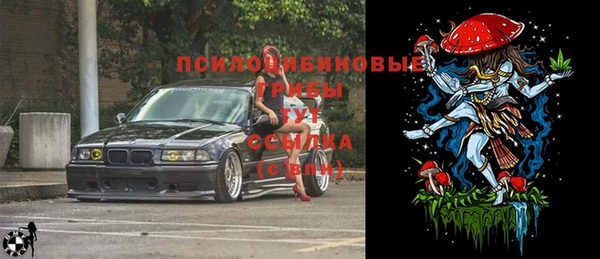 молекула духа Гусиноозёрск