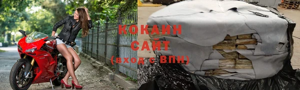 индика Гусев
