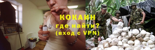 индика Гусев