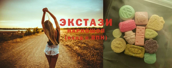 индика Гусев