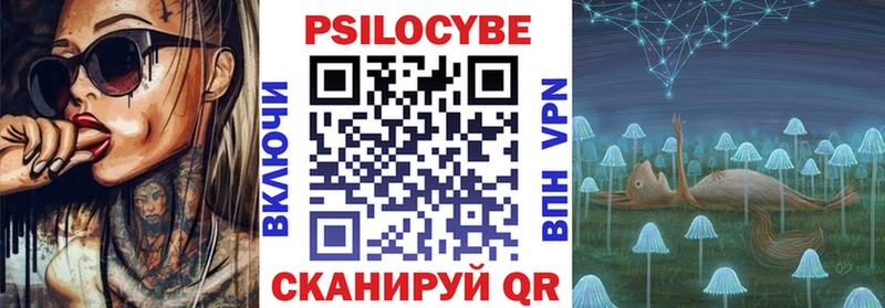 Купить закладки  Ряжск  Галлюциногенные грибы Psilocybe 